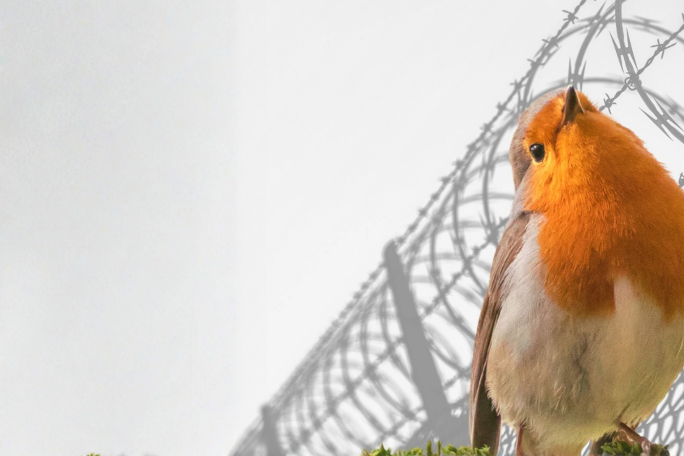 Ausstellung "Vögel fernab der Politik?"